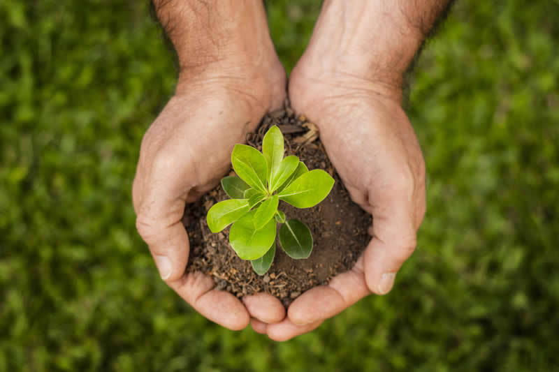 biodiversità